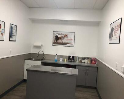 Hurley Dog and Cat Hospital